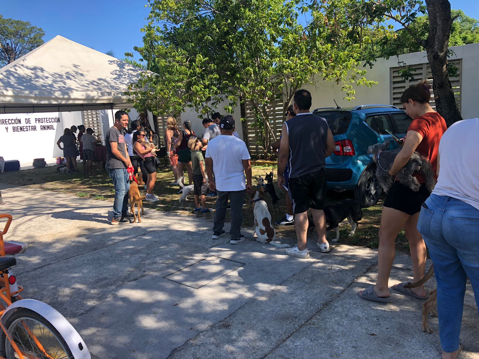 uploads/6/32/01 (68).Jpeg